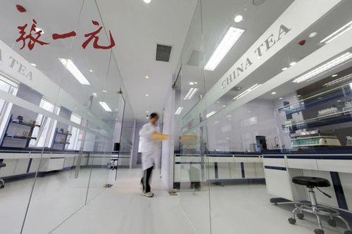 2024中國(guó)茶企品牌價(jià)值Top10風(fēng)采展示 百年張一元榮登榜，現(xiàn)代琳龍物流展新篇