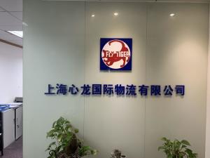 上海心龍國際物流與琳龍物流 雙龍出海，引領國際物流新篇章